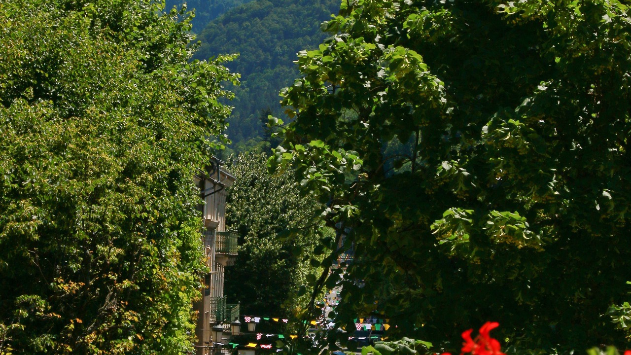 Photo of Others in Bagneres-de-Luchon