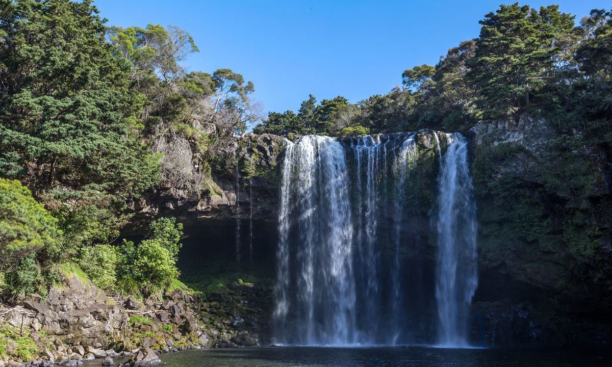 Photo of Others in Kerikeri