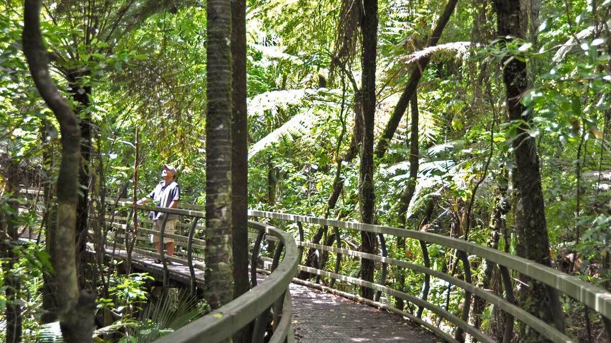 Photo of Others in Kerikeri