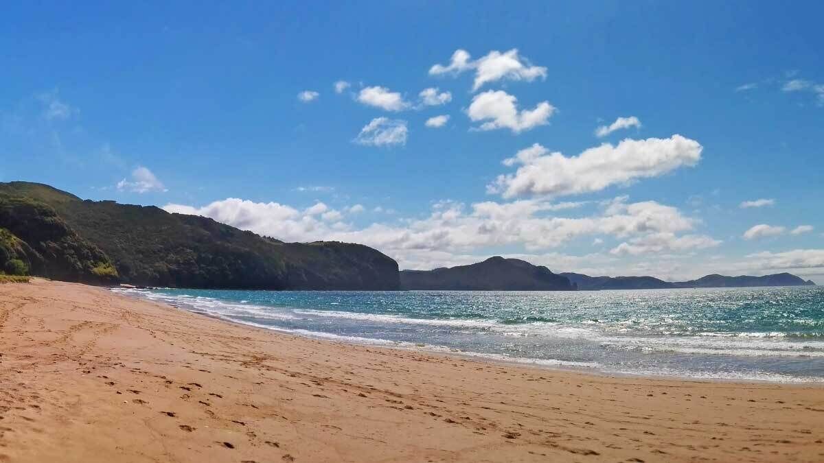 Photo of Others in Kerikeri