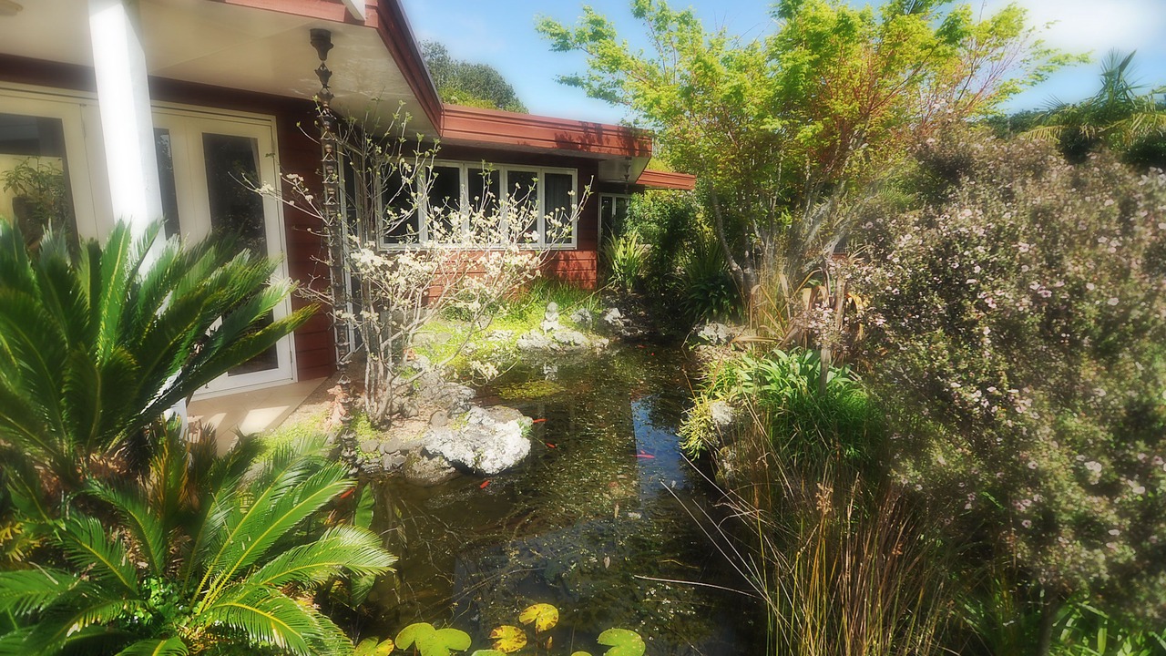 Photo of Outdoor in Kerikeri