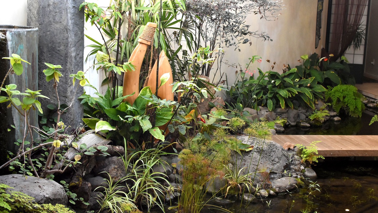 Photo of Others in Kerikeri