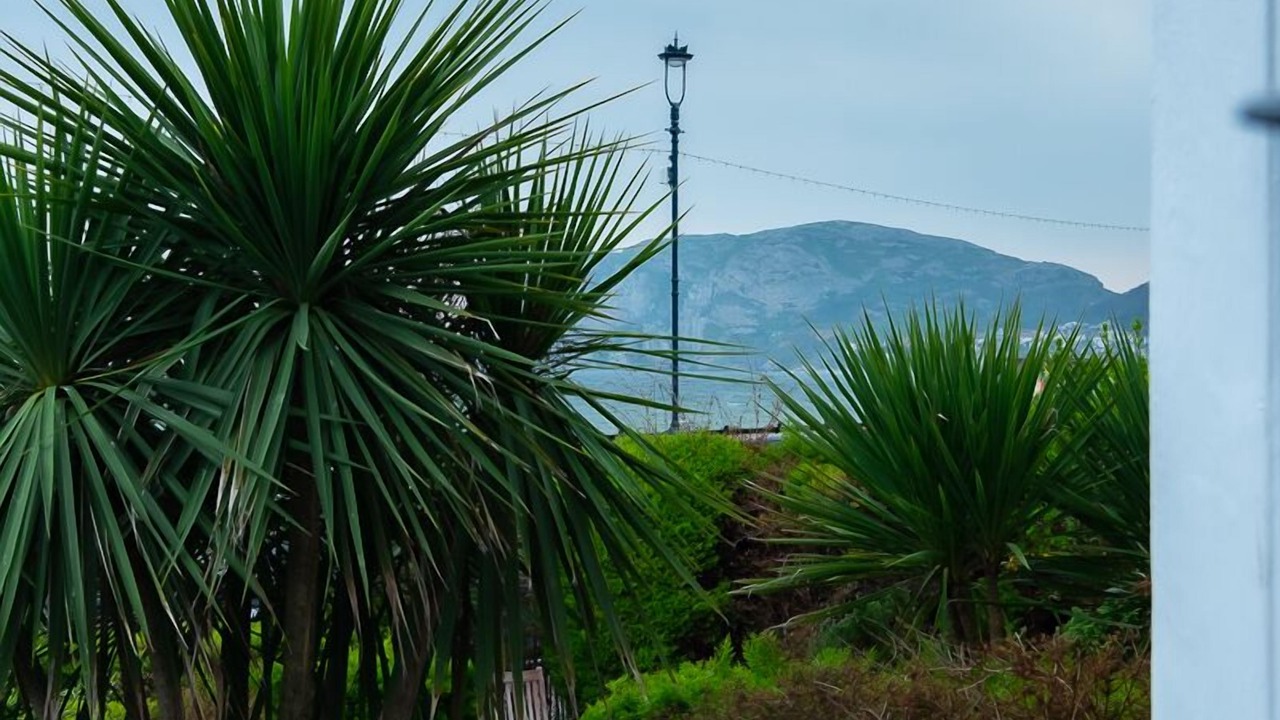 Photo of Outdoor in Llandudno