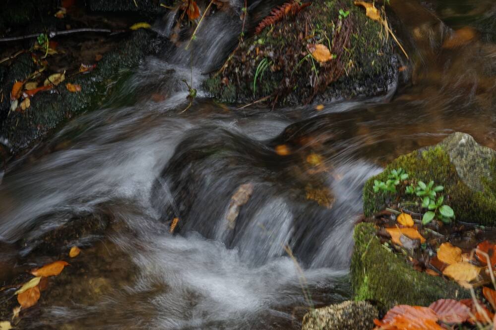 Photo of Outdoor in Le Hohwald
