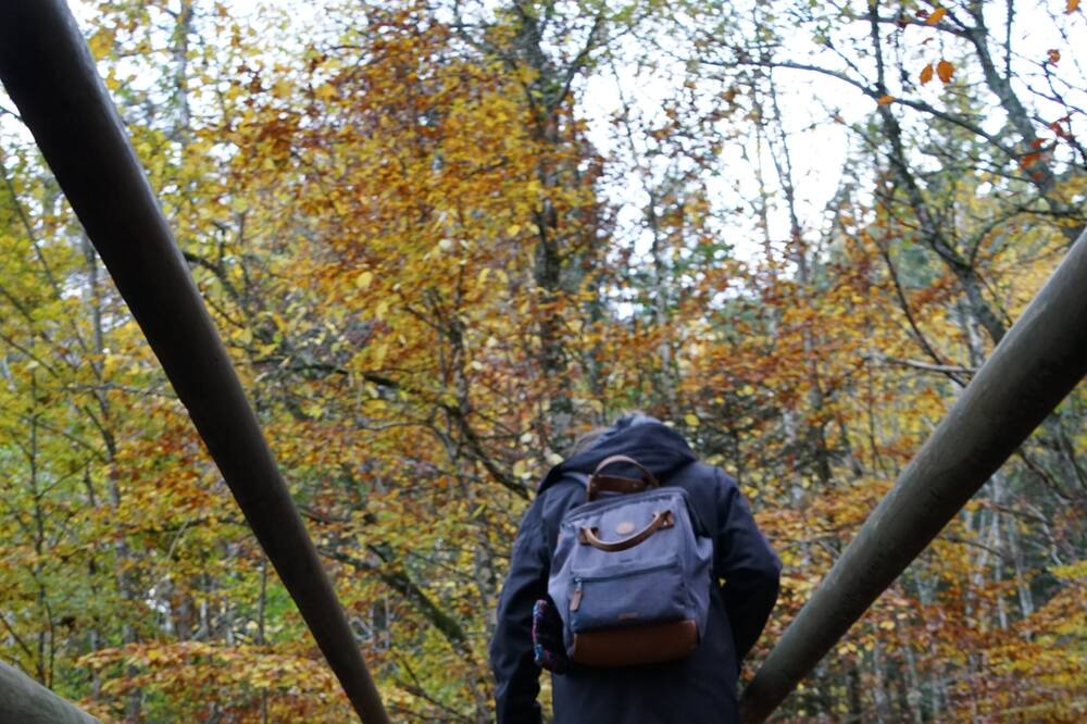 Photo of Outdoor in Le Hohwald