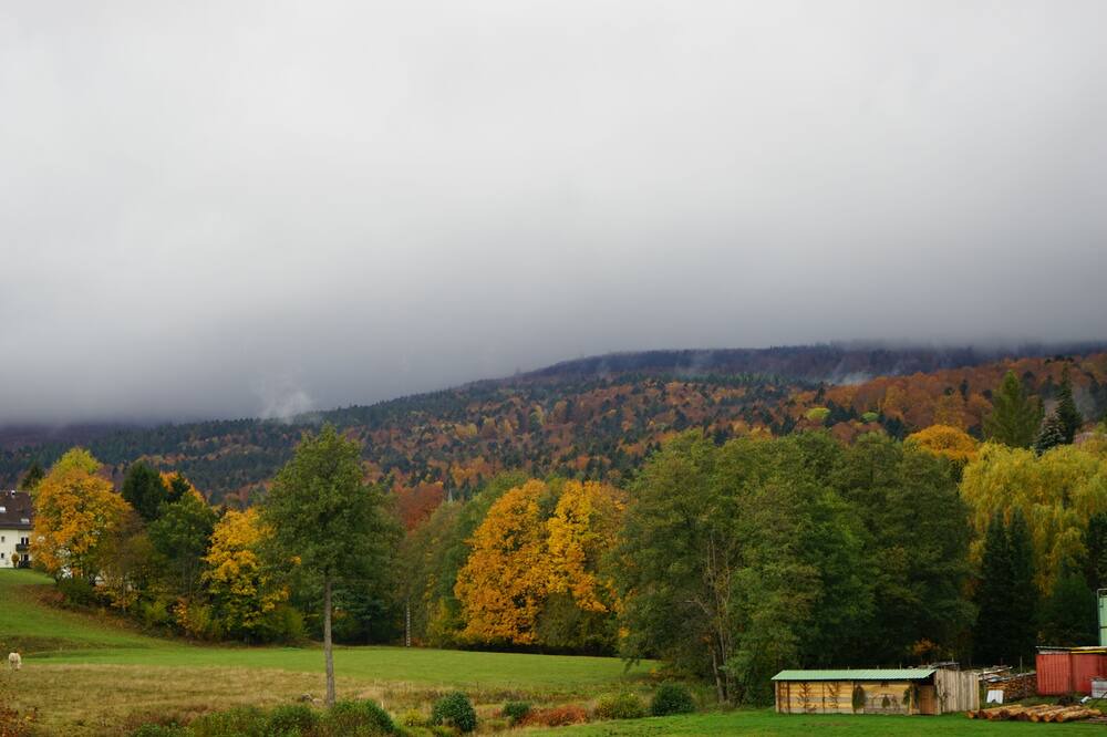 Photo of Bedroom in Le Hohwald