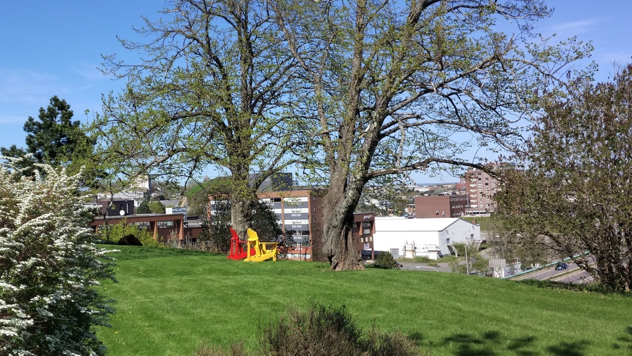 Photo of Outdoor in Saint John