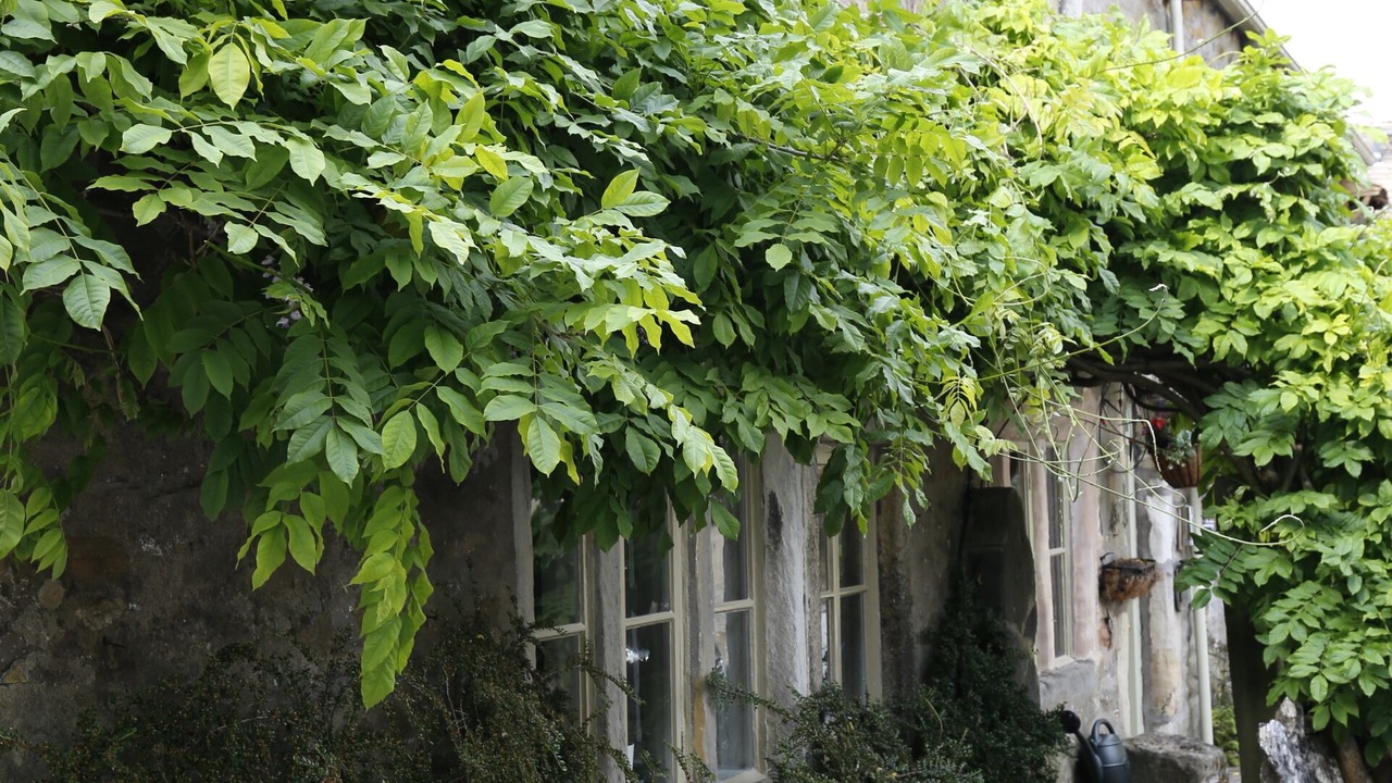 Photo of Outdoor in Grassington