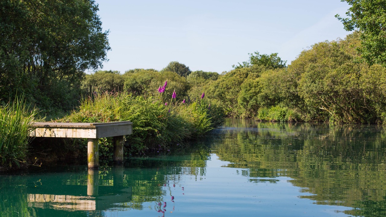 Photo of Others in Winnard's Perch