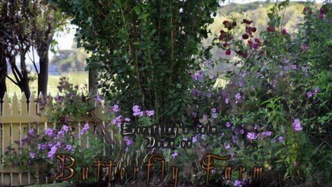 Photo of Outdoor in Nirranda