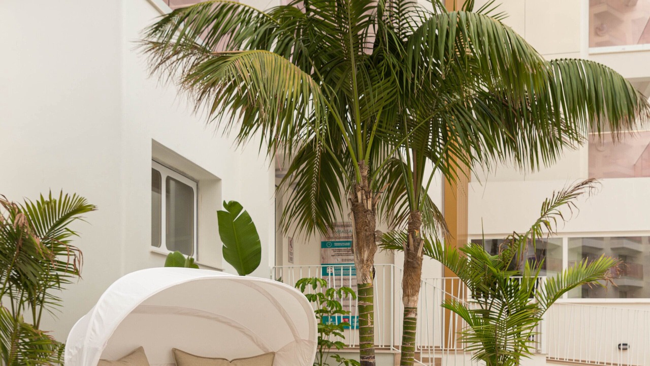Photo of Outdoor in Benidorm