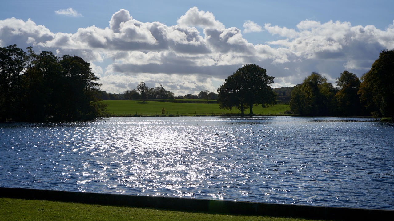 Photo of Others in Melbourne