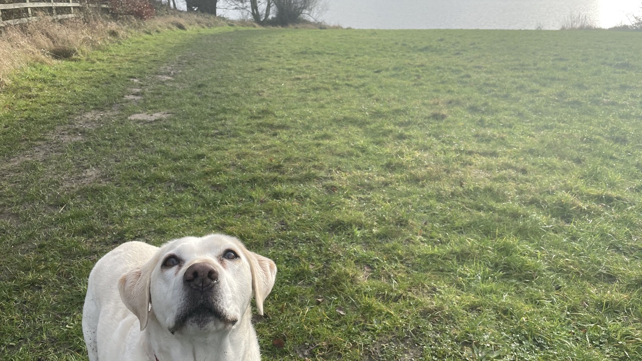 Photo of Others in Melbourne