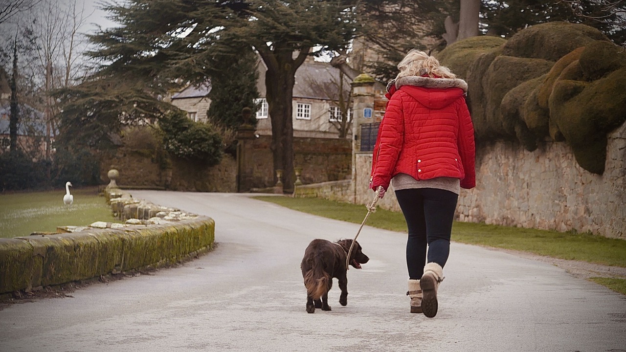 Photo of Others in Melbourne