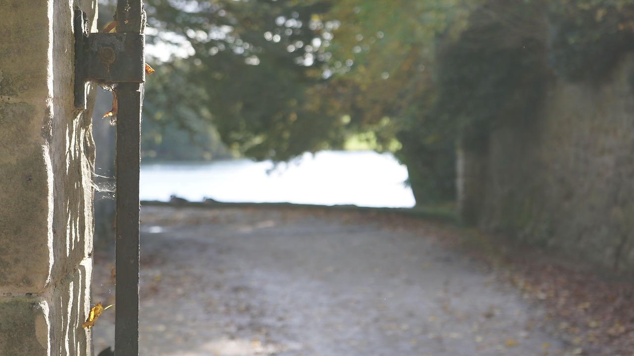 Photo of Others in Melbourne