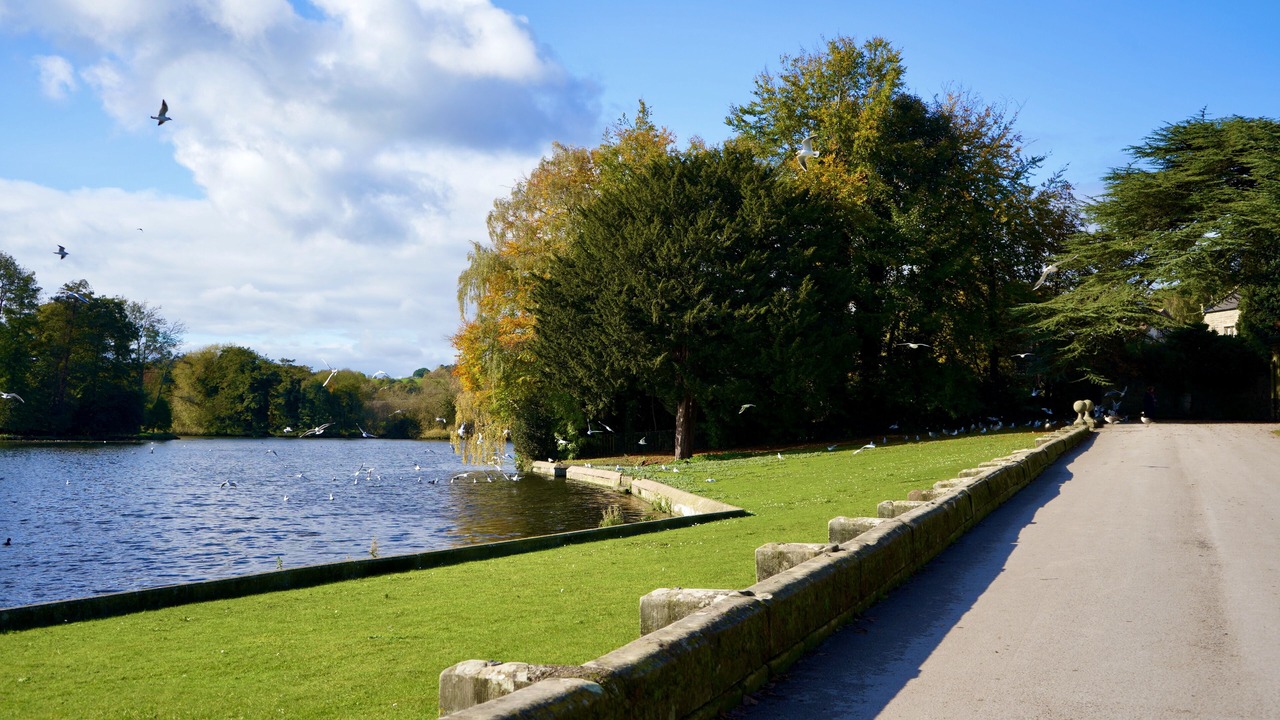 Photo of Others in Melbourne