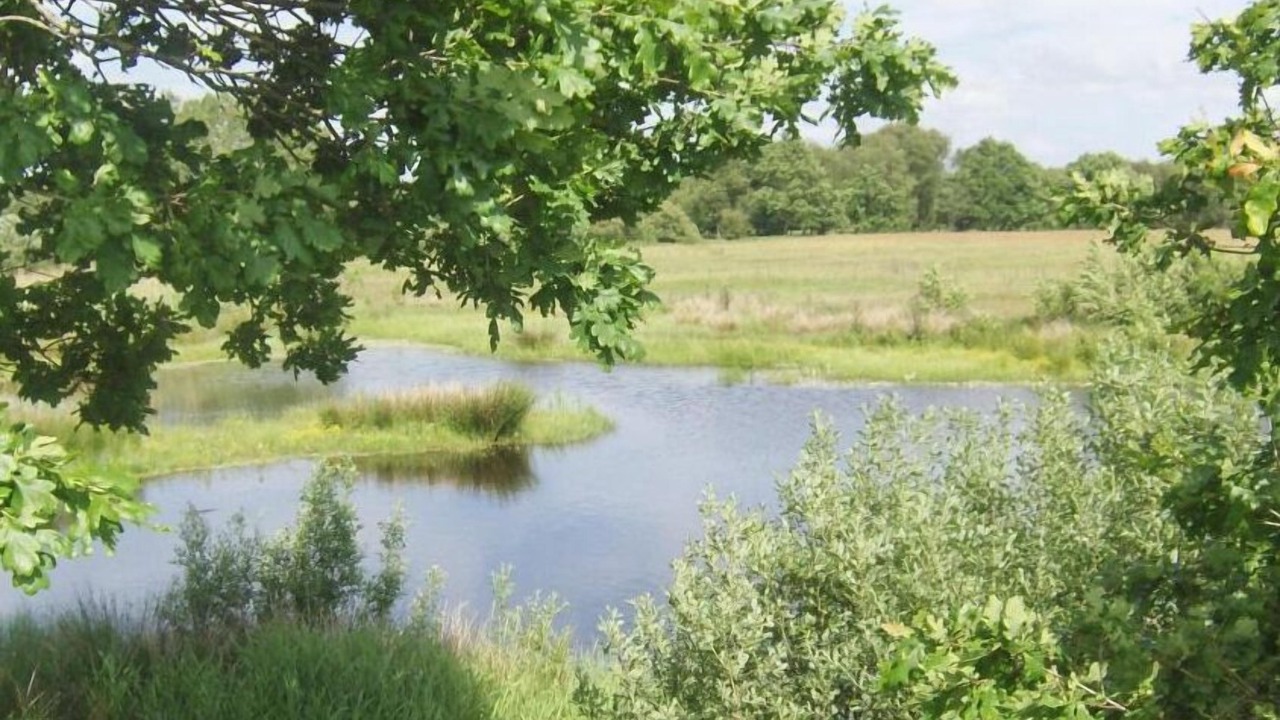 Photo of Outdoor in Padborg