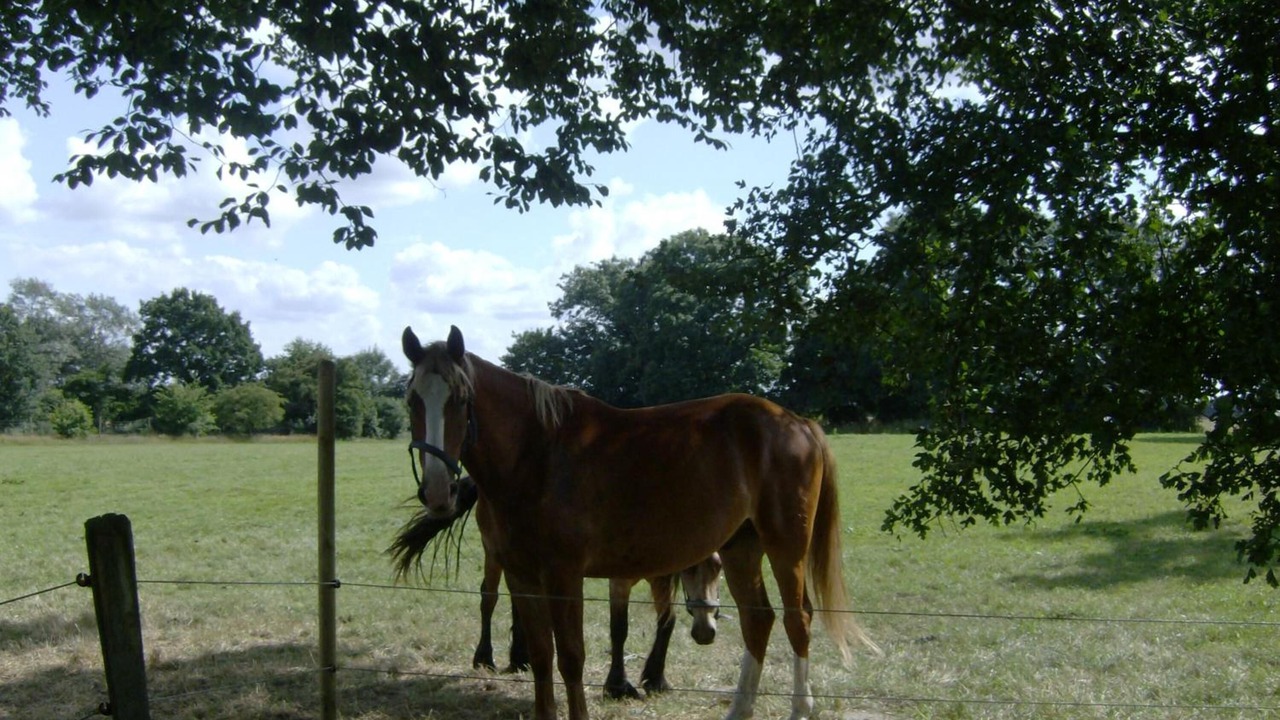 Photo of Outdoor in Padborg