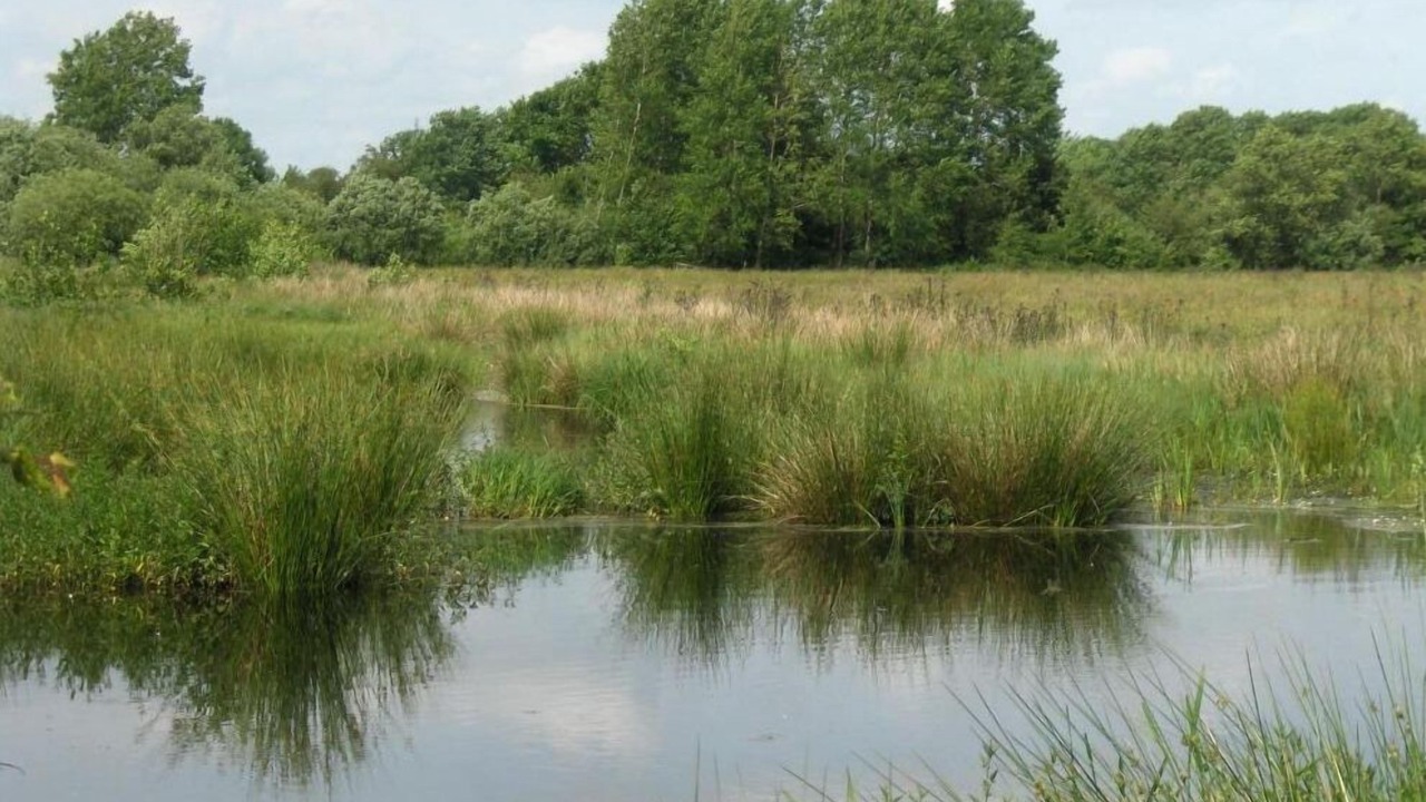 Photo of Outdoor in Padborg