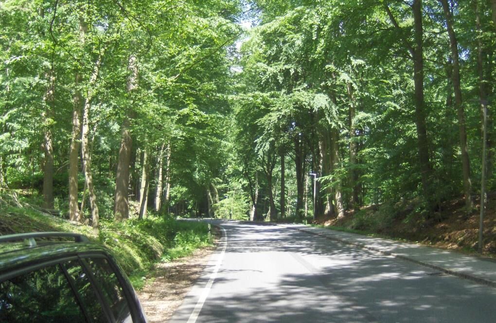 Photo of Outdoor in Padborg