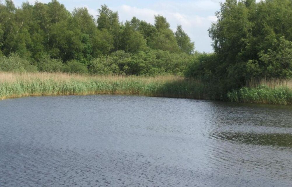 Photo of Outdoor in Padborg