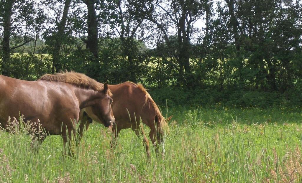 Photo of Outdoor in Padborg