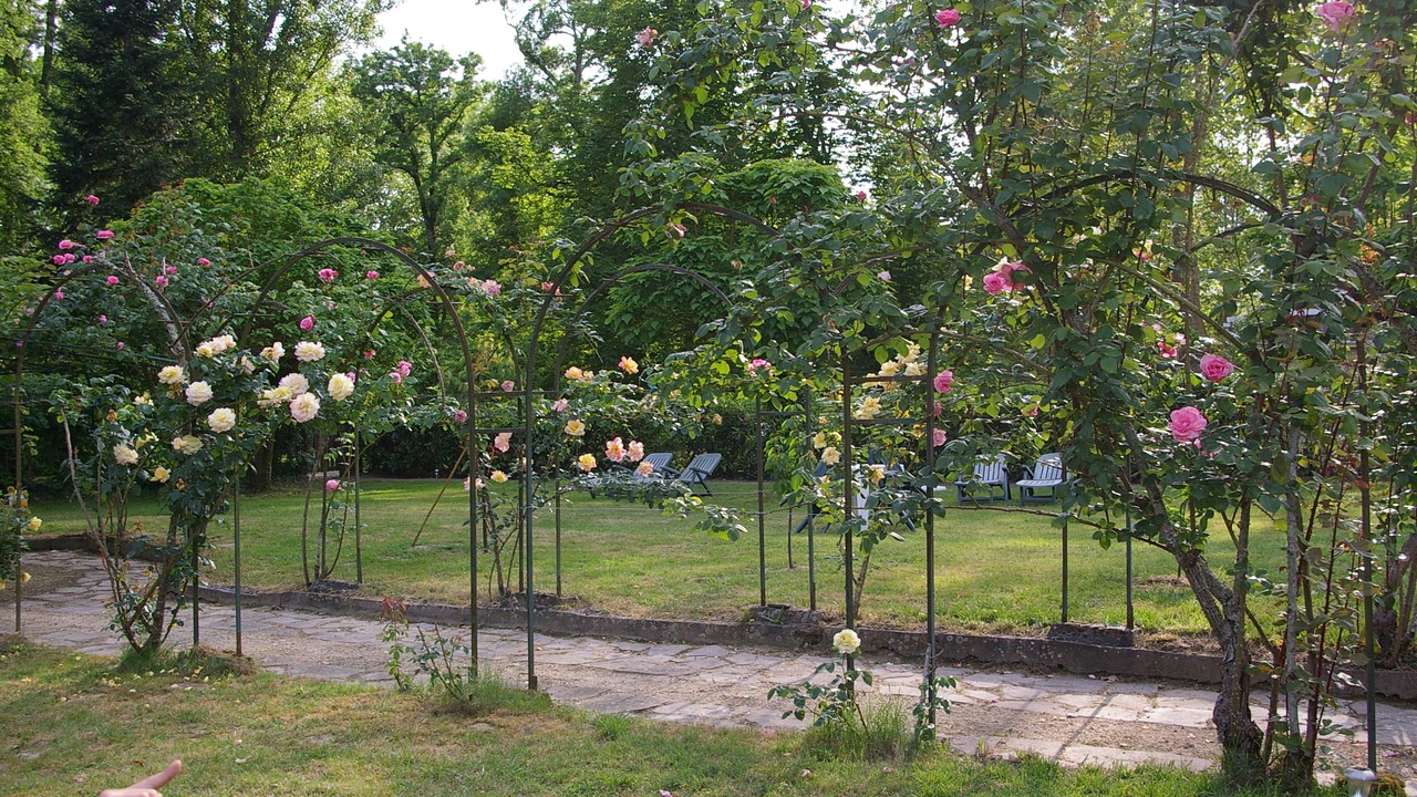 Photo of Outdoor in Barbotan-les-Thermes