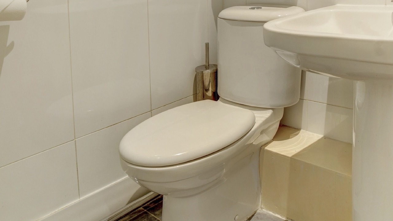 Photo of Others in Chichester