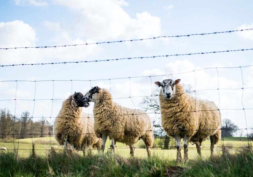 Photo of Outdoor in Charwelton