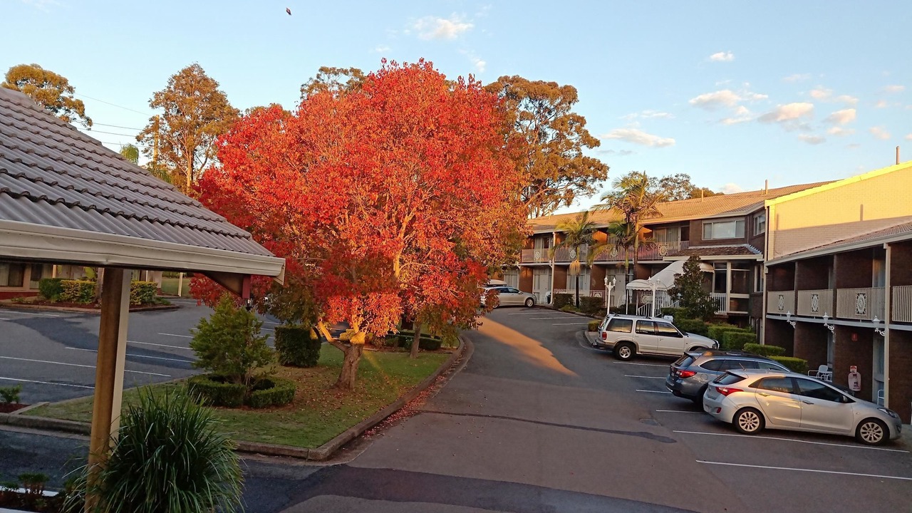 Photo of Outdoor in East Maitland