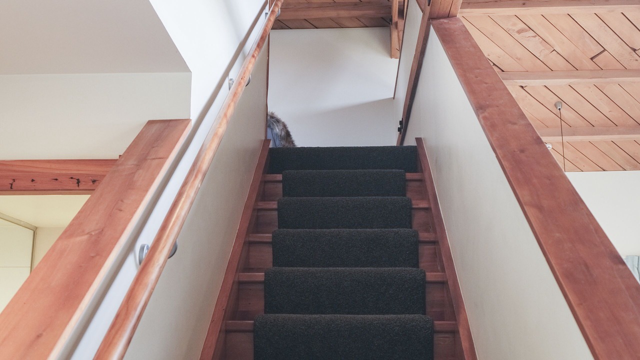 Photo of Others in Stokes Valley