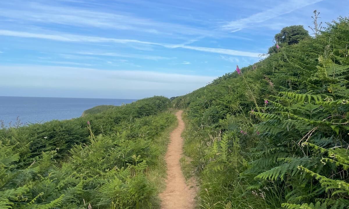 Photo of Outdoor in Gorran Haven