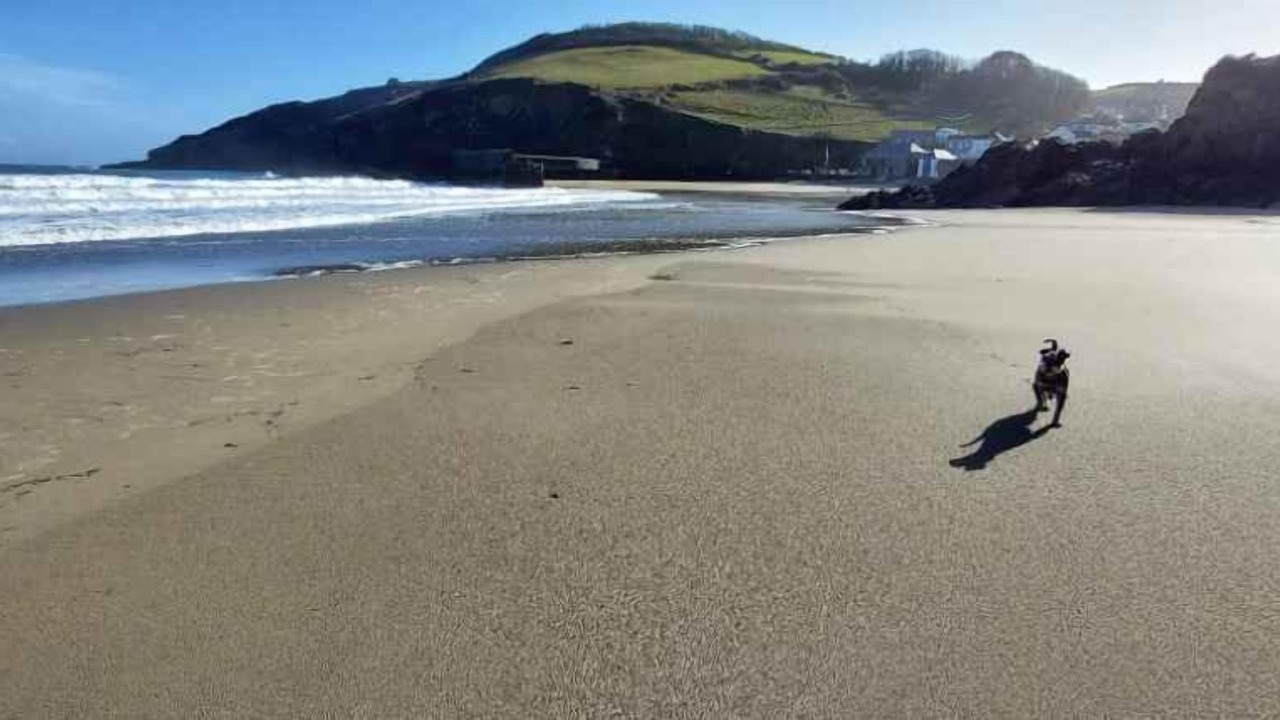 Photo of Others in Gorran Haven