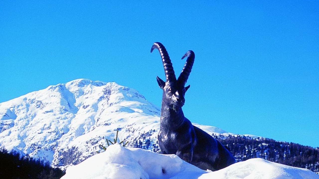 Photo of Others in Pontresina