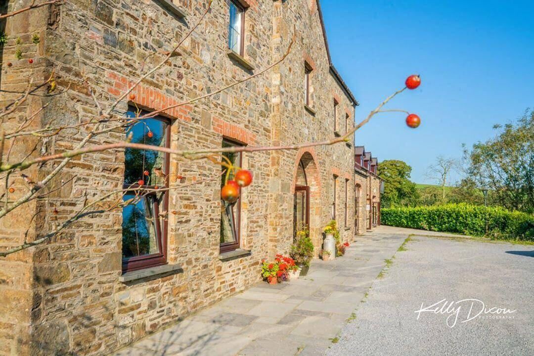 Photo of Outdoor in Saint Clears