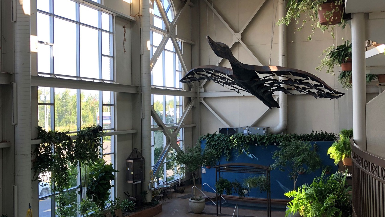 Photo of Patio Balcony in Desjardins