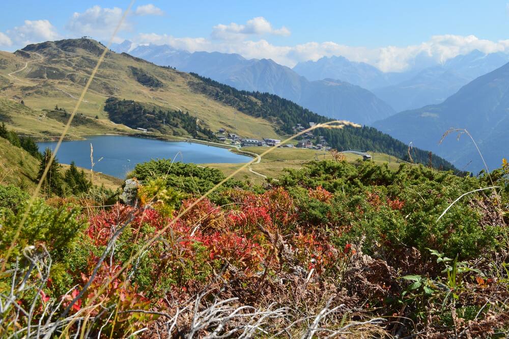 Photo of Outdoor in Fiesch