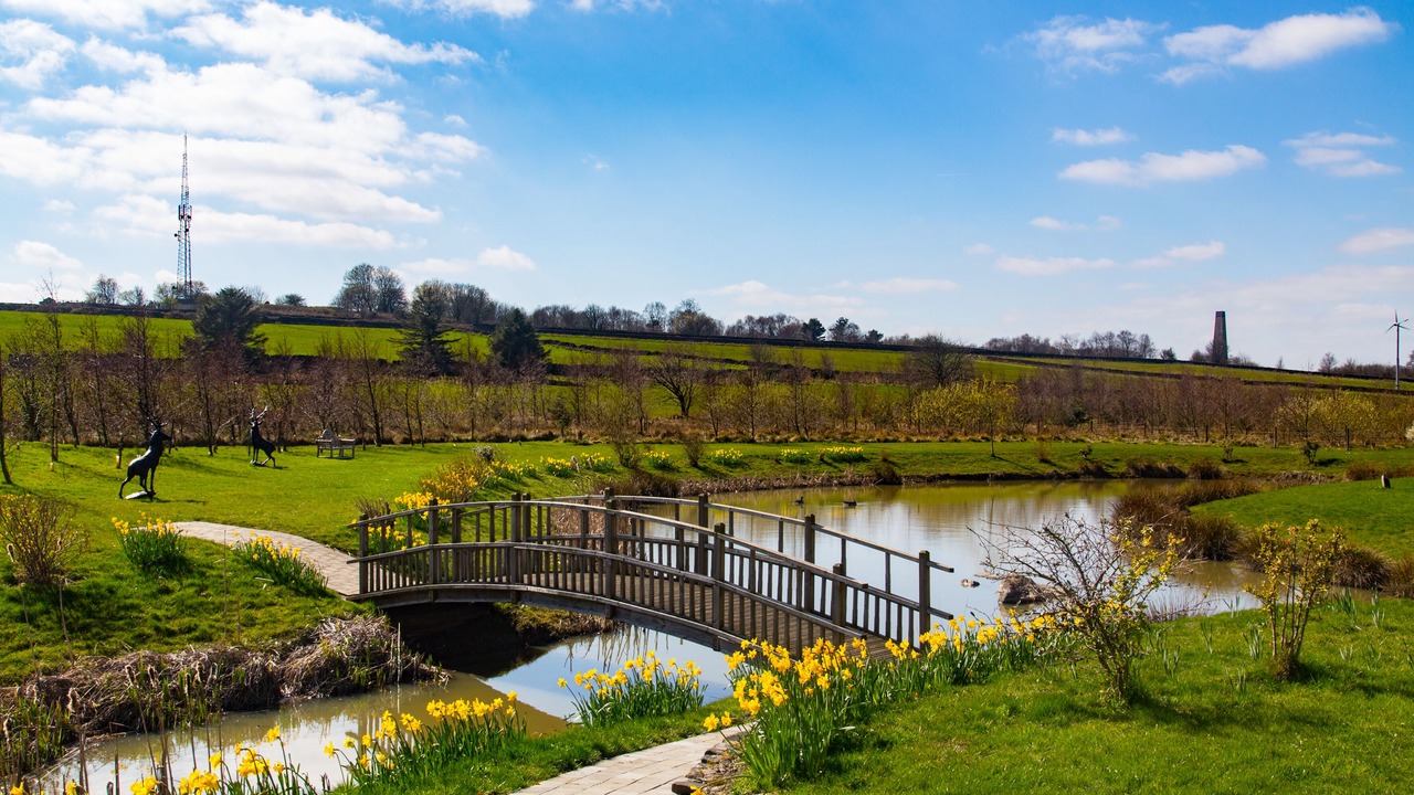 Photo of Outdoor in Stonedge