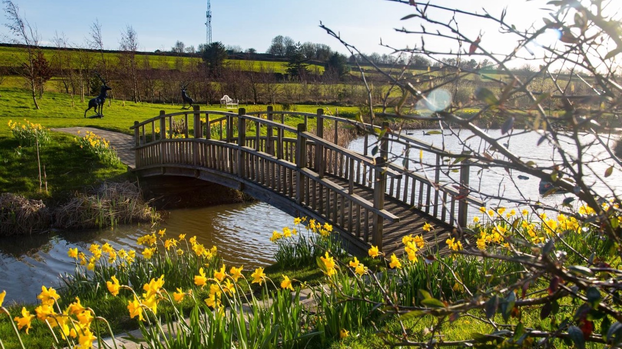 Photo of Outdoor in Stonedge