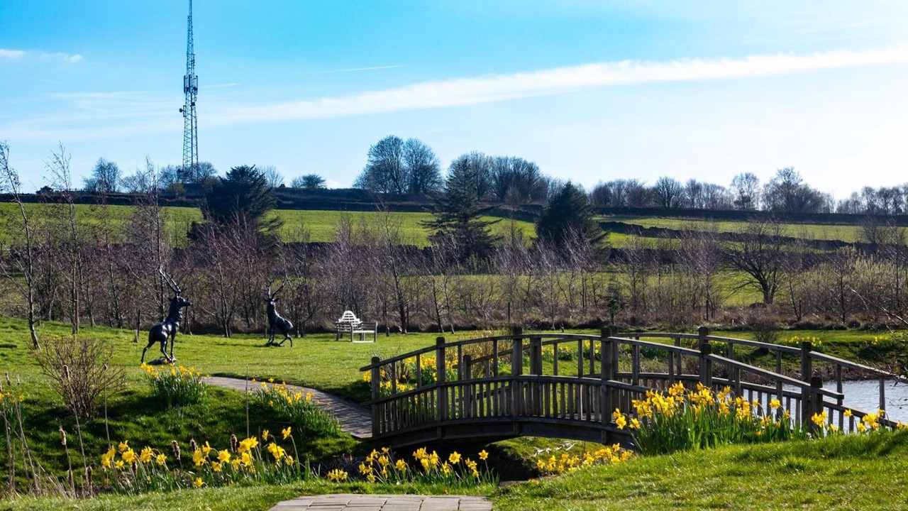 Photo of Outdoor in Stonedge