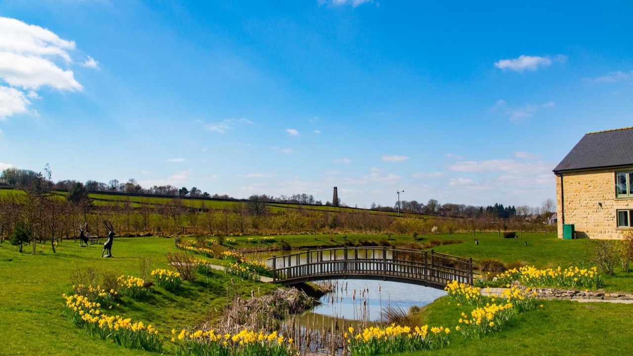 Photo of Outdoor in Stonedge