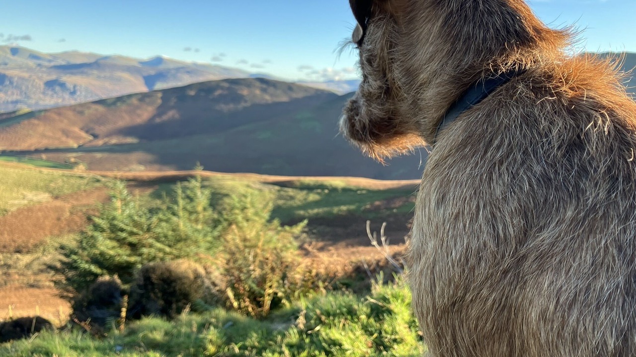 Photo of Others in Braithwaite