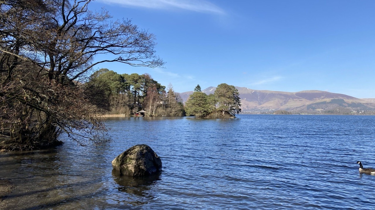 Photo of Others in Braithwaite