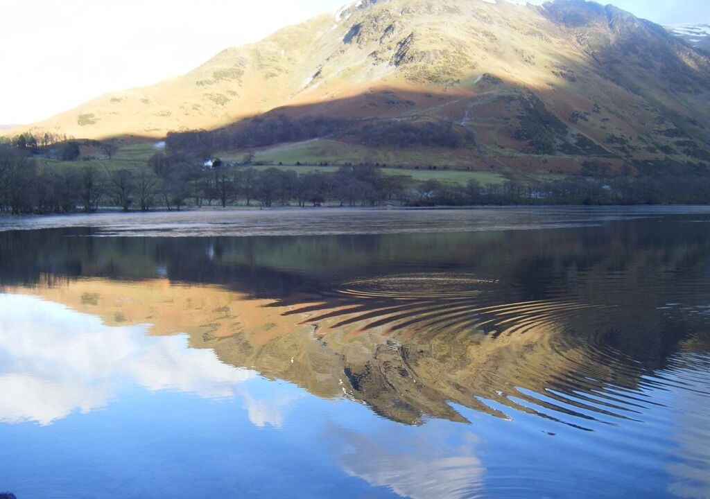 Photo of Others in Braithwaite