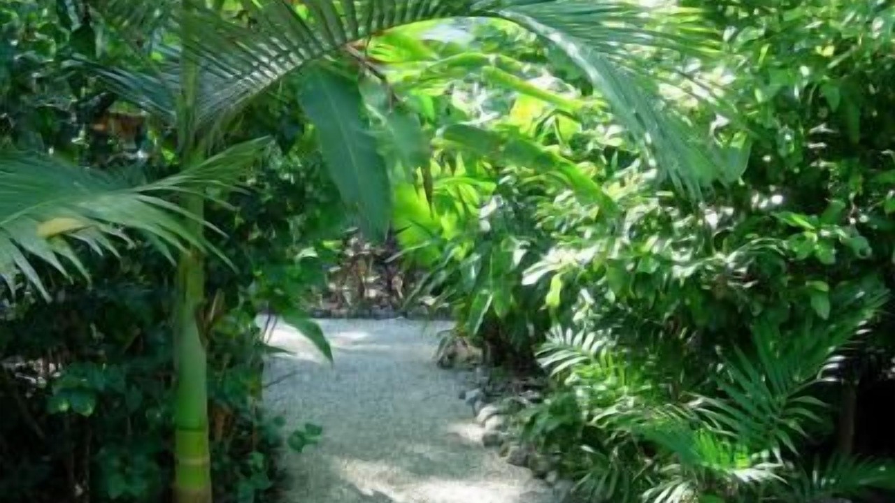 Photo of Outdoor in Wongaling Beach