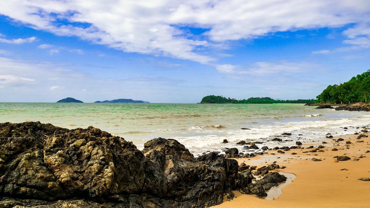 Photo of Others in Wongaling Beach