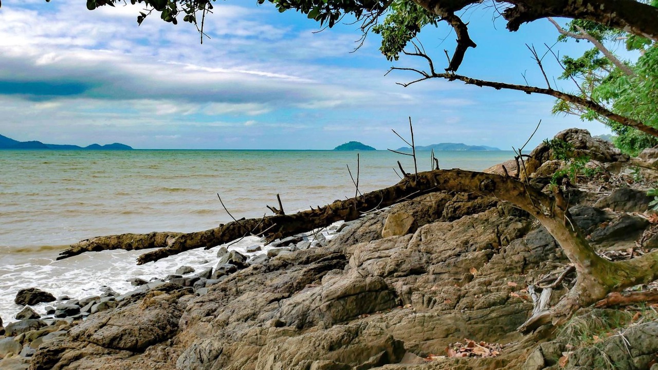 Photo of Others in Wongaling Beach