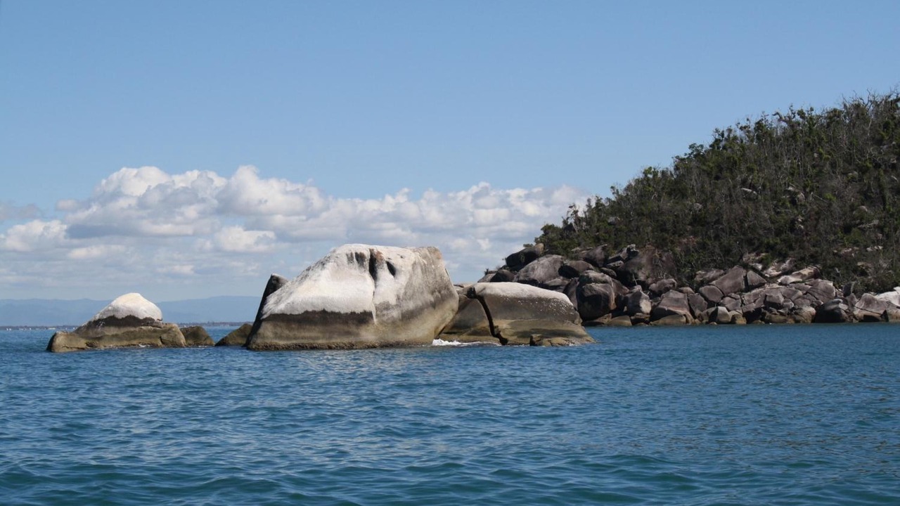 Photo of Others in Wongaling Beach