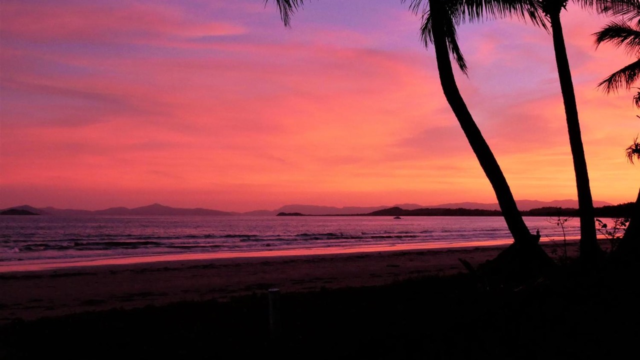 Photo of Others in Wongaling Beach