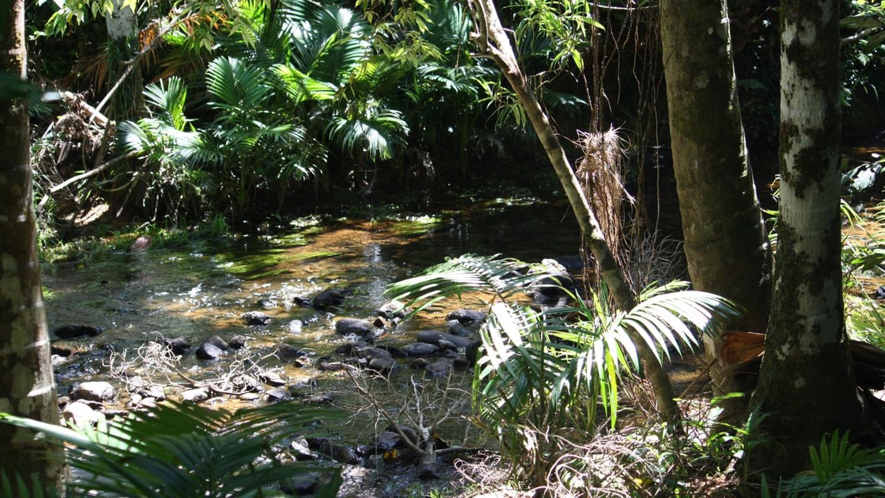 Photo of Outdoor in Wongaling Beach